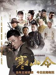 电视剧寒山令全集在线观看,揭秘江湖传奇，在线观看全集，尽享武侠盛宴